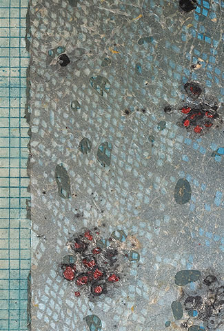 Swimming With <br>The Silent Killer