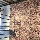 A man working on a mixed media art exhibit