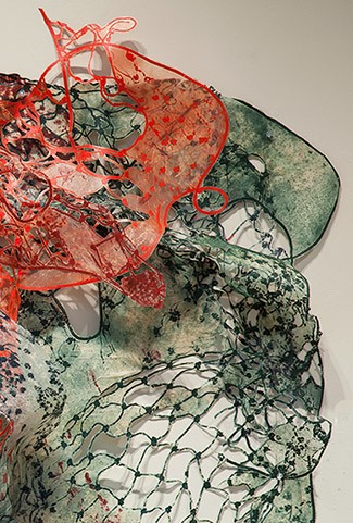 Global Warming<br> Algae Bloom