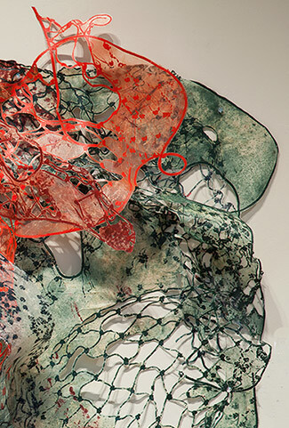 Global Warming<br> Algae Bloom