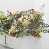 Anya Tish Gallery