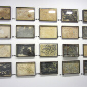 Numbered framed artwork on a wall