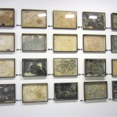 Numbered framed artwork on a wall