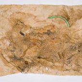 Detritus embedded in handmade paper