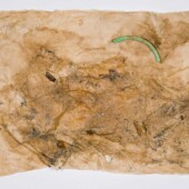 Detritus embedded in handmade paper