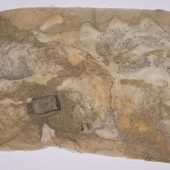 Handmade paper with glitter on it