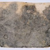 Handmade paper, detritus and steel