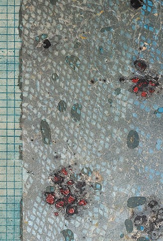 Swimming With <br>The Silent Killer