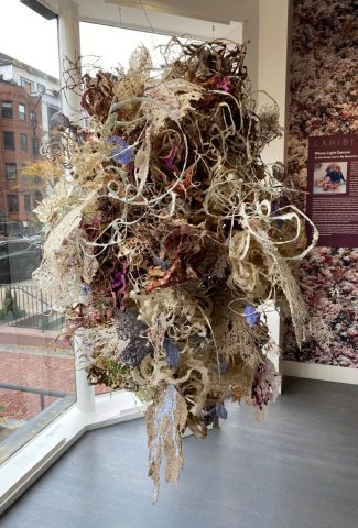 Going,Going, <br>Gone 2022