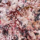 Close up of a 3D art sculpture