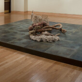 Bruno David Gallery