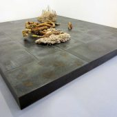 Installation at Millikin University