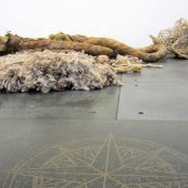 Installation Lindenwood College