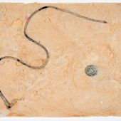 <em>Johnson’s Bayou 4</em> Handmade paper with string and a metal washer