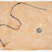 <em>Johnson’s Bayou 4</em> Handmade paper with string and a metal washer