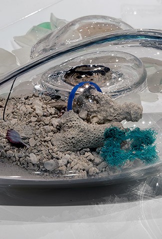 The Greening<br> Of Our Beaches