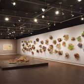 Global Contamination A 3D mixed media art exhibit at Meadows Museum, Centenary College, Shreveport, LA