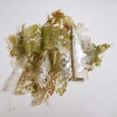 Installation at the Newport Art Museum