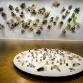 An art exhibit called Sea Of Heartbreak