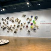 A Joan Hall art exhibit of 3D art