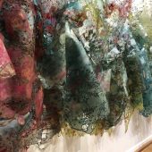 Algae Bloom Algae Bloom