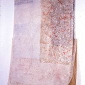 Dare the Clouds 1999 Side View