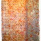 Red Tide and Oil Spills 2001