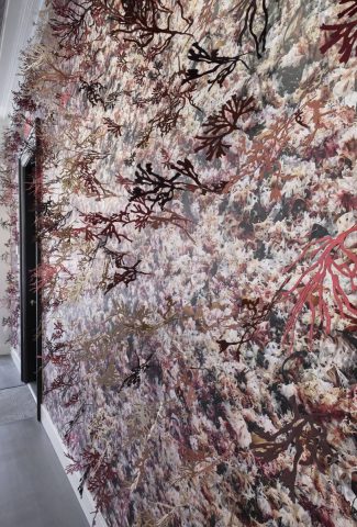 Invasion of <br/>Hull Cove