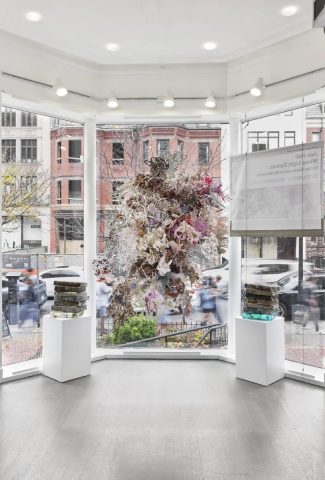 Where Light <br/>Dances: <br/><span style="font-size: 70% !important;
line-height: initial;
">On the Ocean and <br/>in My Memories 2022</span>